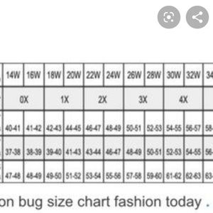 converse ctas pocket